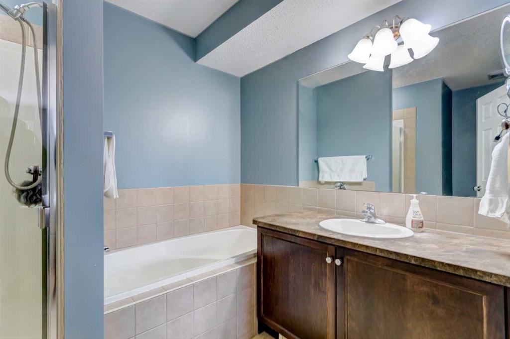 185 Brightonstone Landing Se, Calgary, AB - Indoor Photo Showing Bathroom