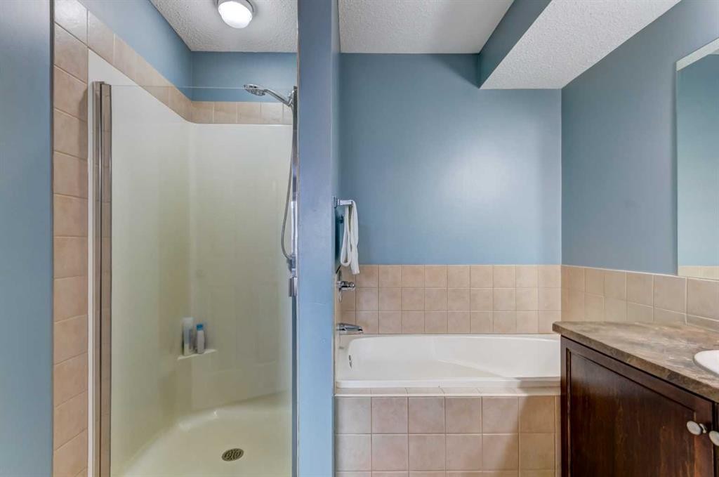 185 Brightonstone Landing Se, Calgary, AB - Indoor Photo Showing Bathroom