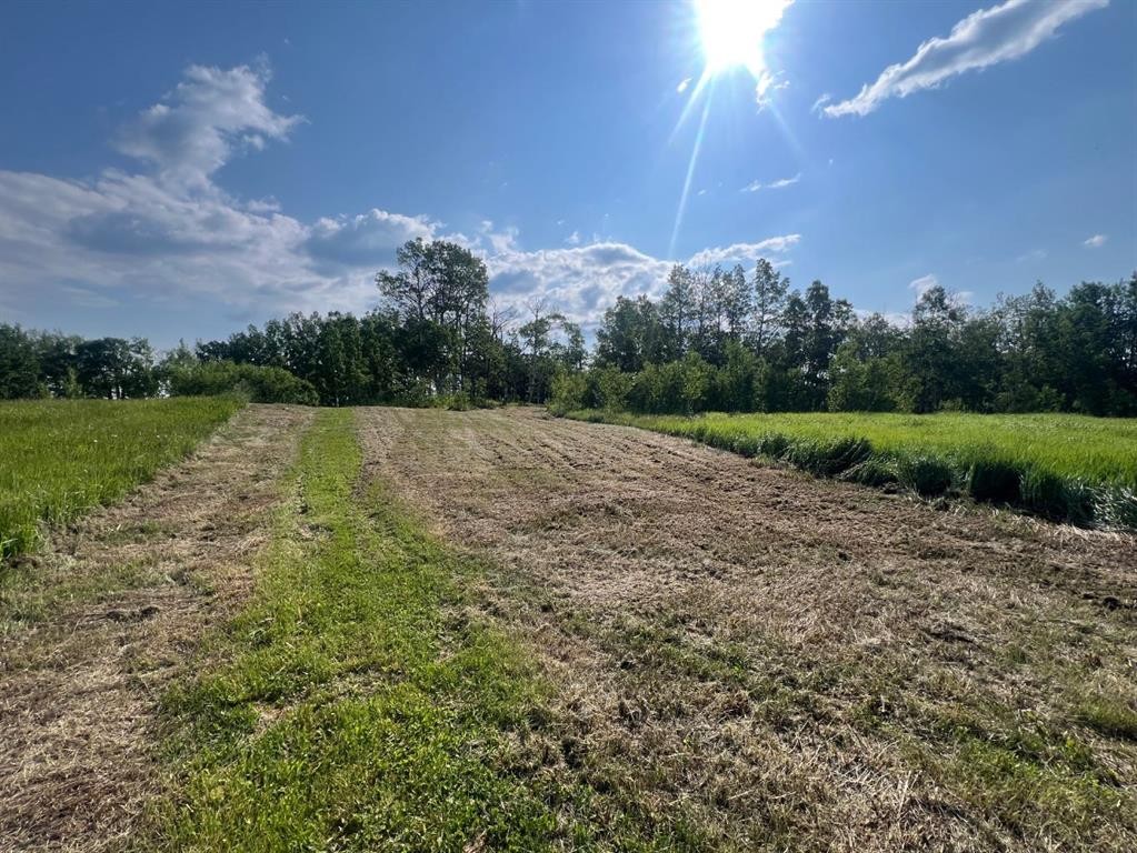 30308 Rr50, Rural Mountain View County, AB