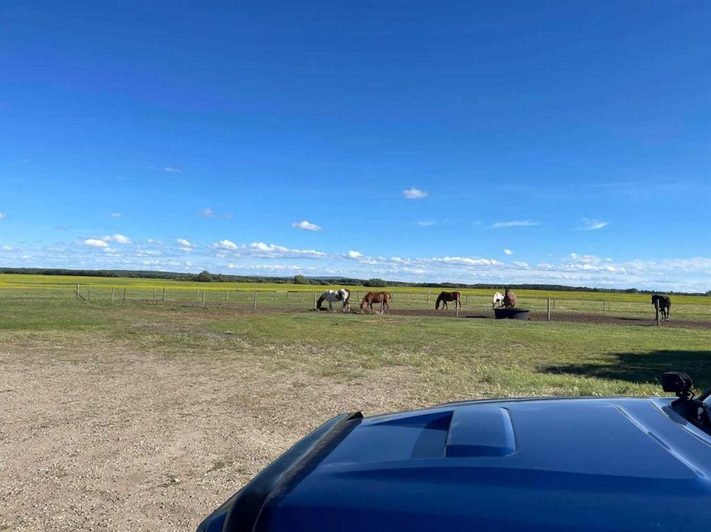 101071 Township Road 740, Rural Grande Prairie No. 1, County Of, AB - Outdoor With View