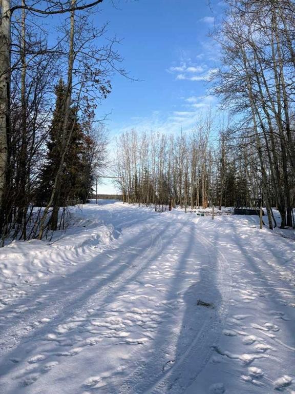 101071 Township Road 740, Rural Grande Prairie No. 1, County Of, AB - Outdoor With View