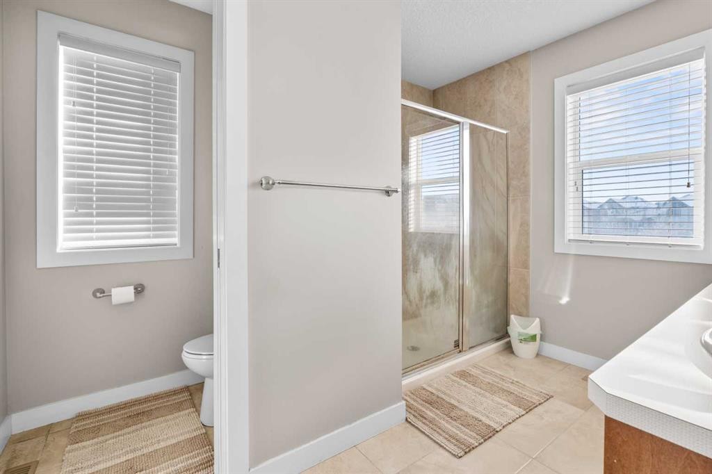 8487 Saddlebrook Drive Ne, Calgary, AB - Indoor Photo Showing Bathroom