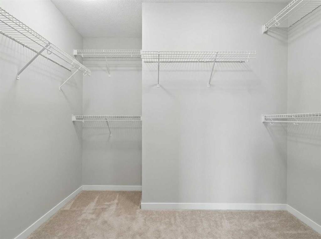 8487 Saddlebrook Drive Ne, Calgary, AB - Indoor With Storage