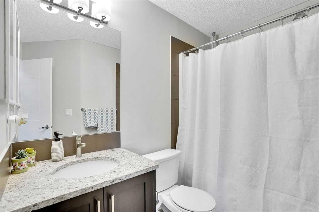 208-402 Marquis Lane Se, Calgary, AB - Indoor Photo Showing Bathroom