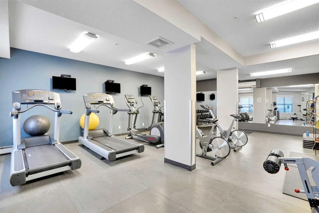 208-402 Marquis Lane Se, Calgary, AB - Indoor Photo Showing Gym Room
