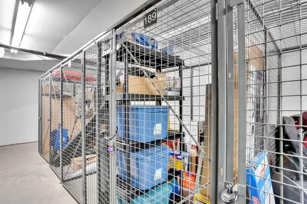 208-402 Marquis Lane Se, Calgary, AB - Indoor With Storage