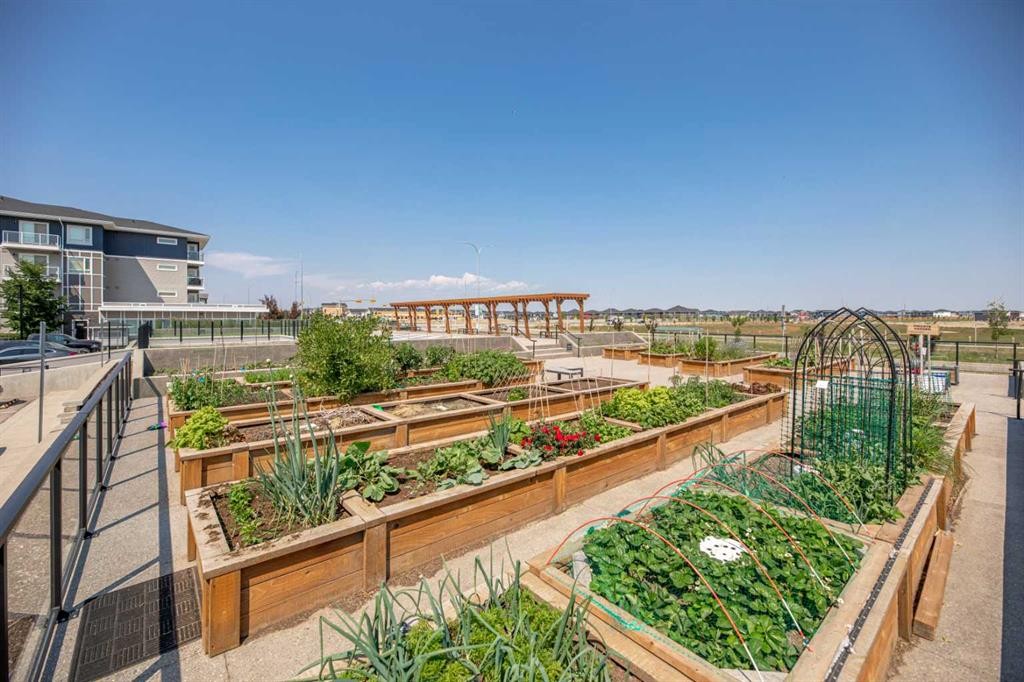 2126-76 Cornerstone Passage Ne, Calgary, AB - Outdoor