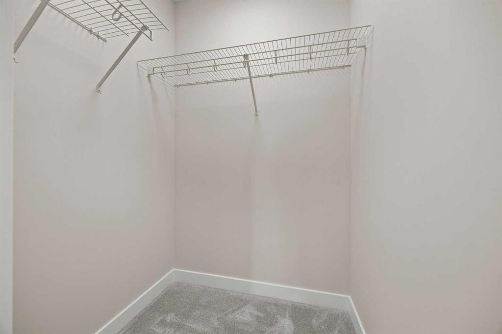 462 Kinniburgh Loop, Chestermere, AB - Indoor With Storage