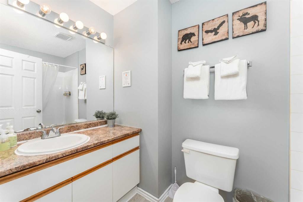 140-1202 Bow Valley Trail, Canmore, AB - Indoor Photo Showing Bathroom