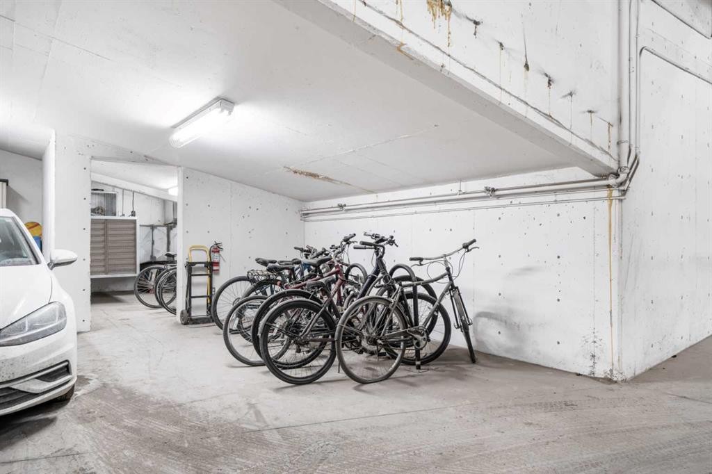 302-1029 15 Avenue Sw, Calgary, AB - Indoor Photo Showing Garage