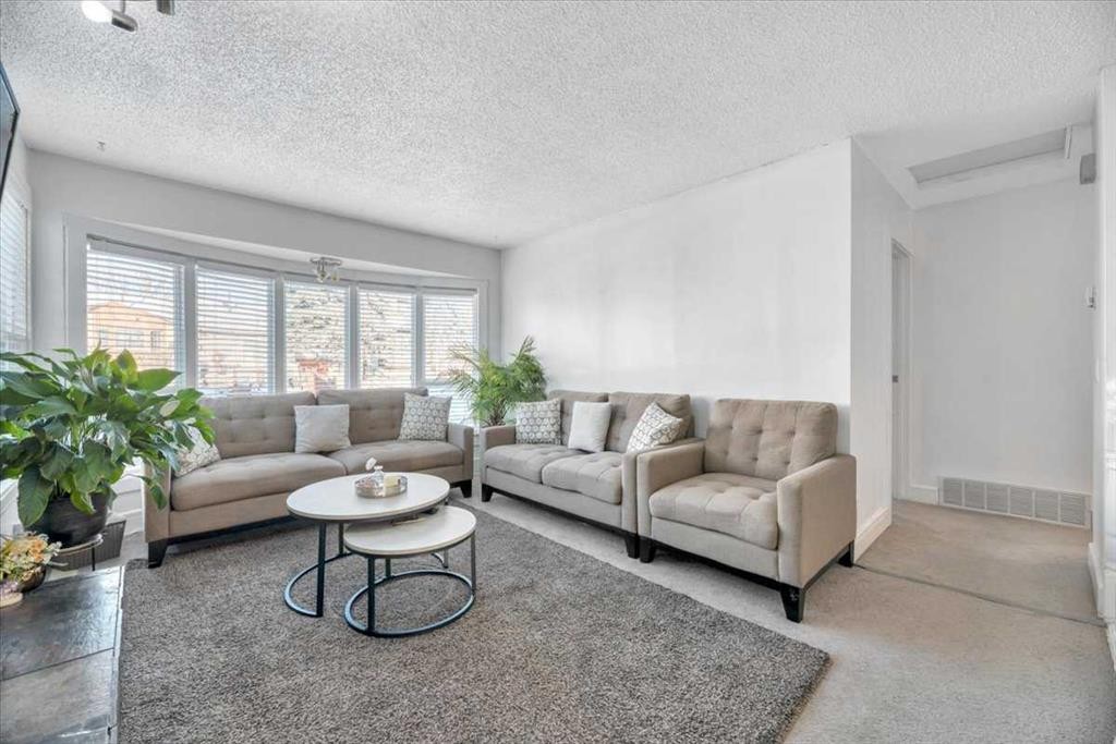 19 Castlepark Way Ne, Calgary, AB - Indoor Photo Showing Living Room