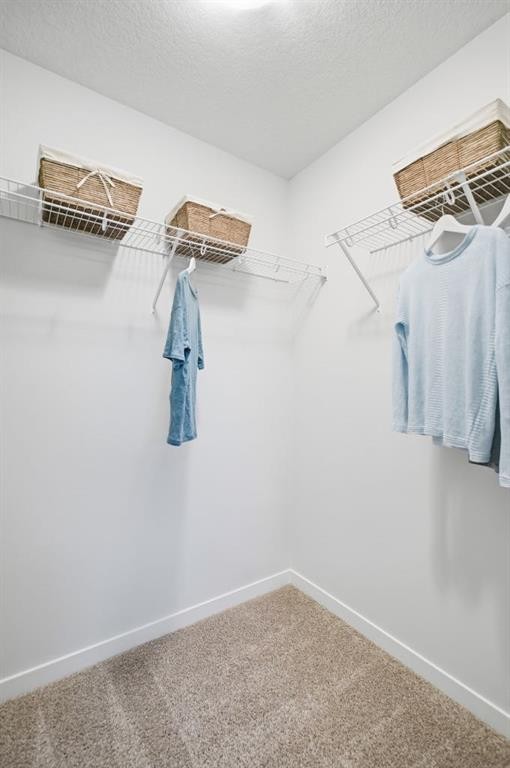 114 Wolf Creek Rise Se, Calgary, AB - Indoor With Storage