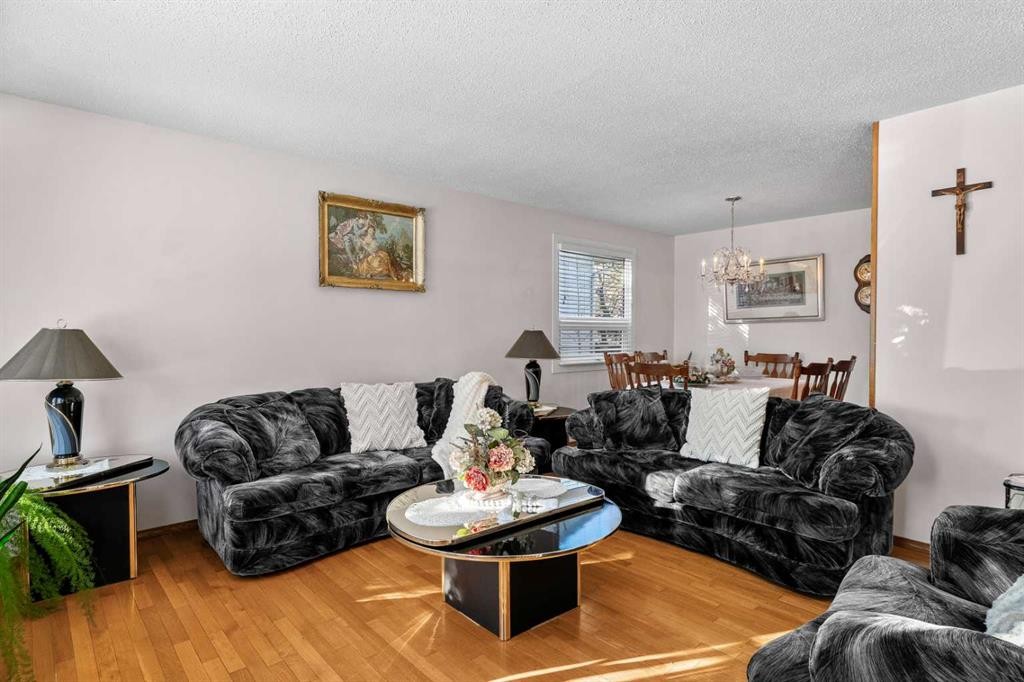 5004 Rundleview Road Ne, Calgary, AB - Indoor Photo Showing Living Room