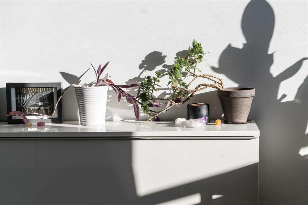 504-505 19 Avenue Sw, Calgary, AB -