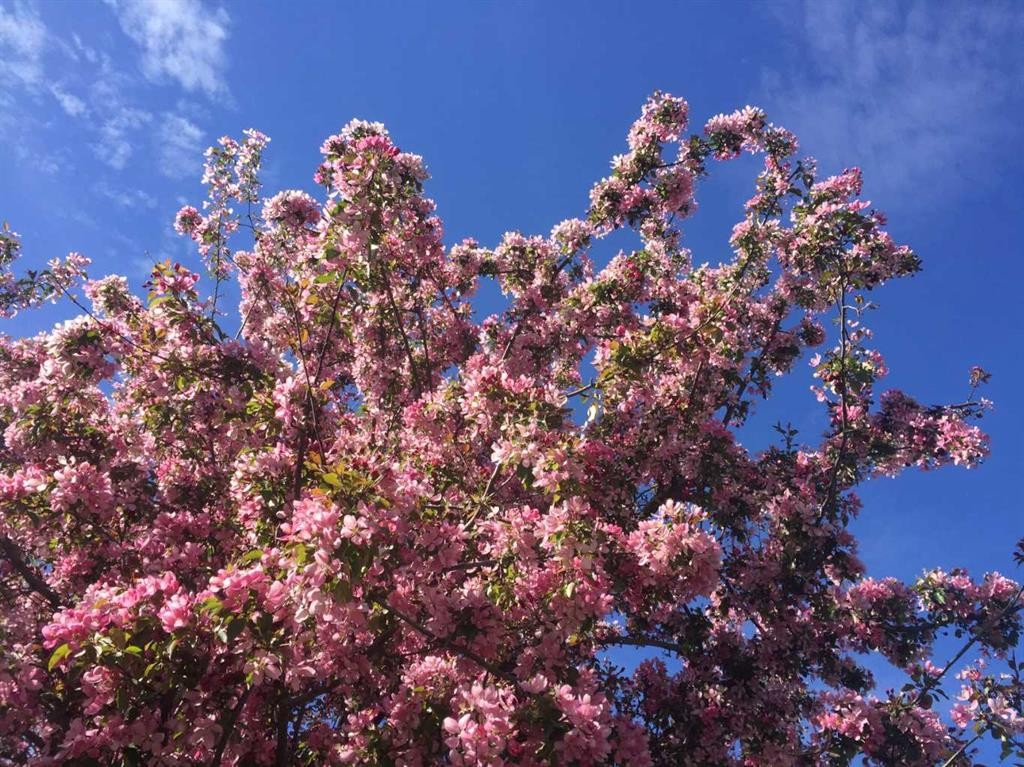 3835 Varsity Drive Nw, Calgary, AB - Outdoor With View