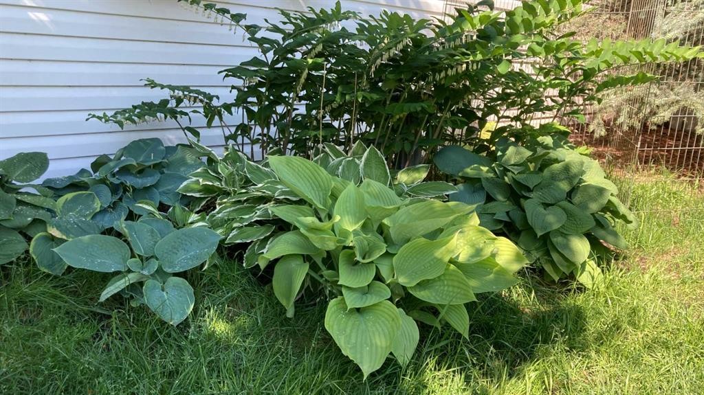 3835 Varsity Drive Nw, Calgary, AB - Outdoor