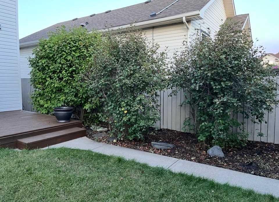 104 Somerside Common Sw, Calgary, AB