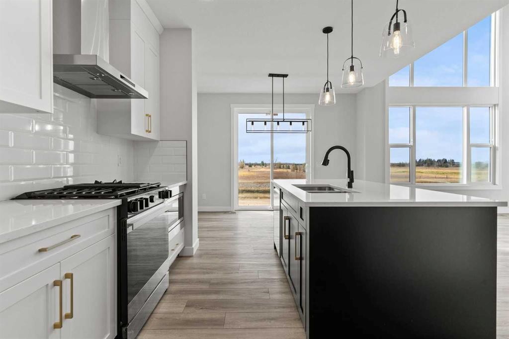 302 Kinniburgh Loop, Chestermere, AB - Indoor Photo Showing Kitchen With Double Sink With Upgraded Kitchen