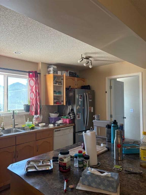 35 Saddlebrook Link Ne, Calgary, AB - Indoor Photo Showing Kitchen With Double Sink