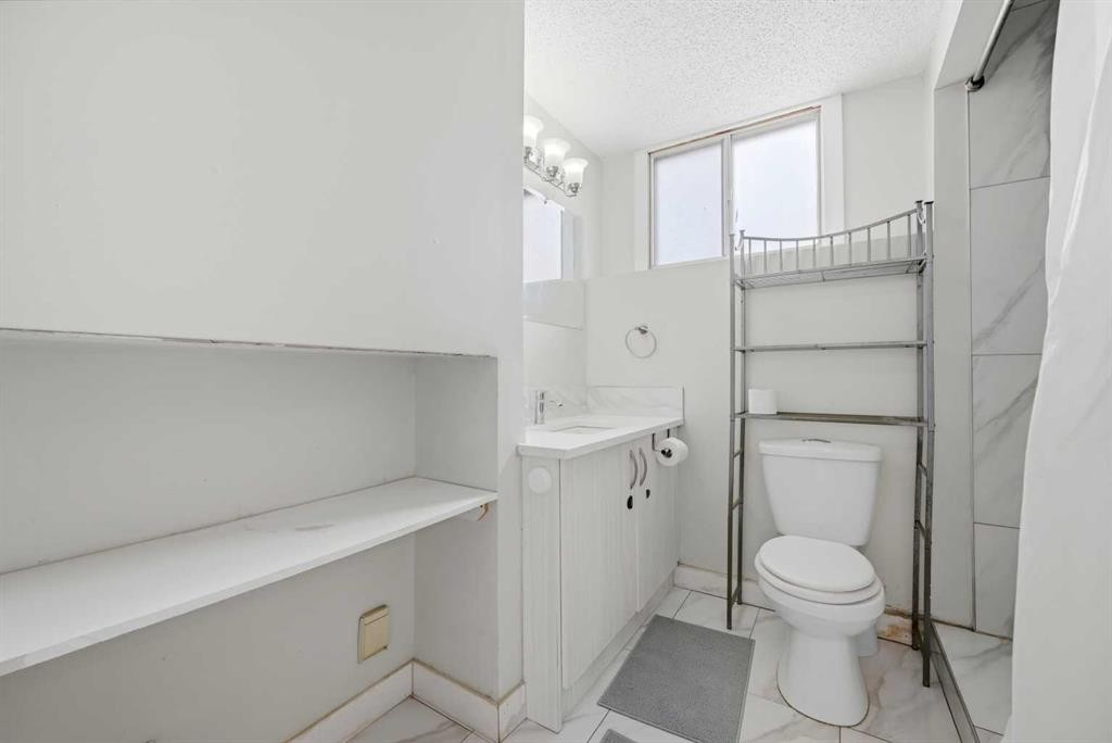 6011 Temple Drive Ne, Calgary, AB - Indoor Photo Showing Bathroom