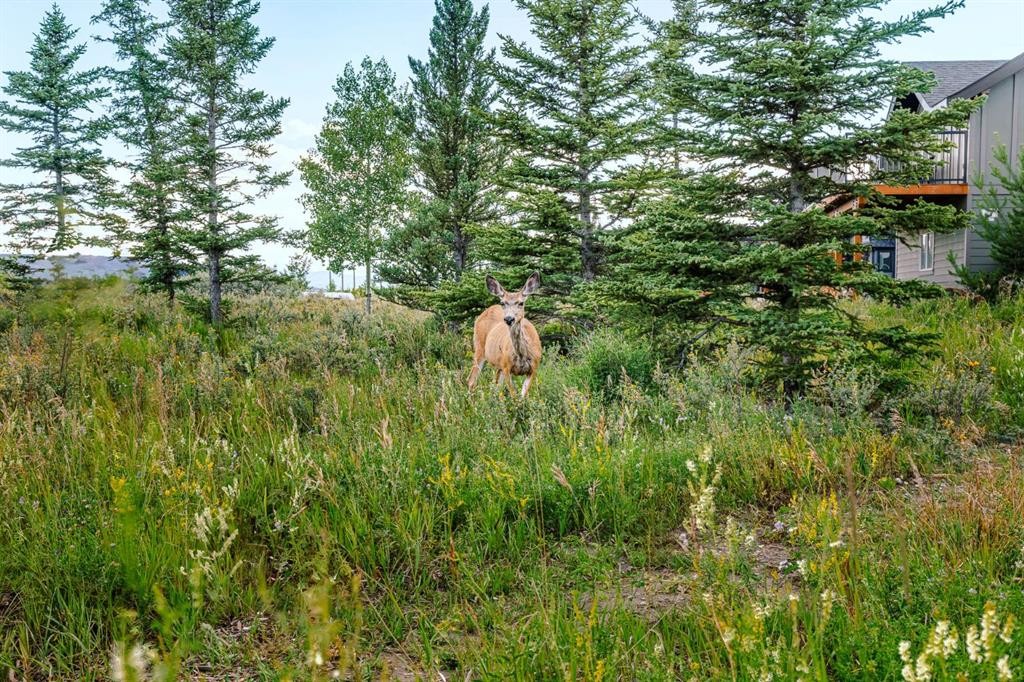 407 Cottageclub Grove, Rural Rocky View County, AB