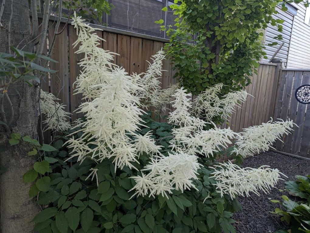 77 Elgin Meadows Manor Se, Calgary, AB - Outdoor