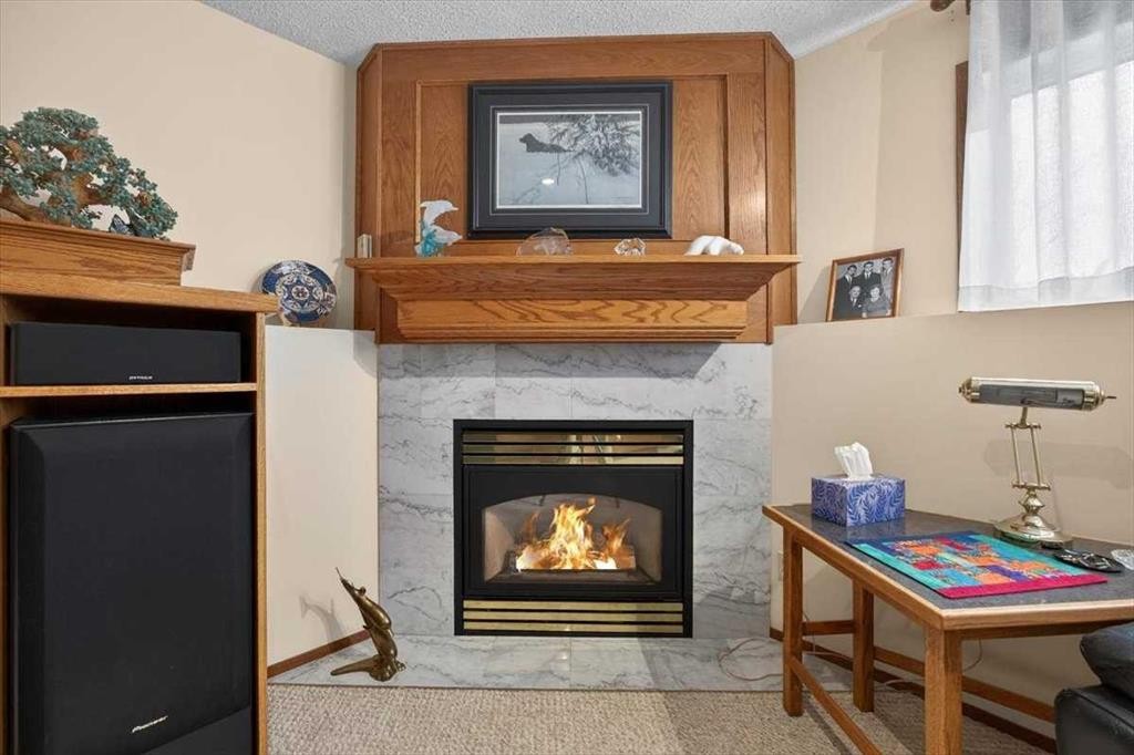 382 Ellis Crescent Se, High River, AB - Indoor With Fireplace