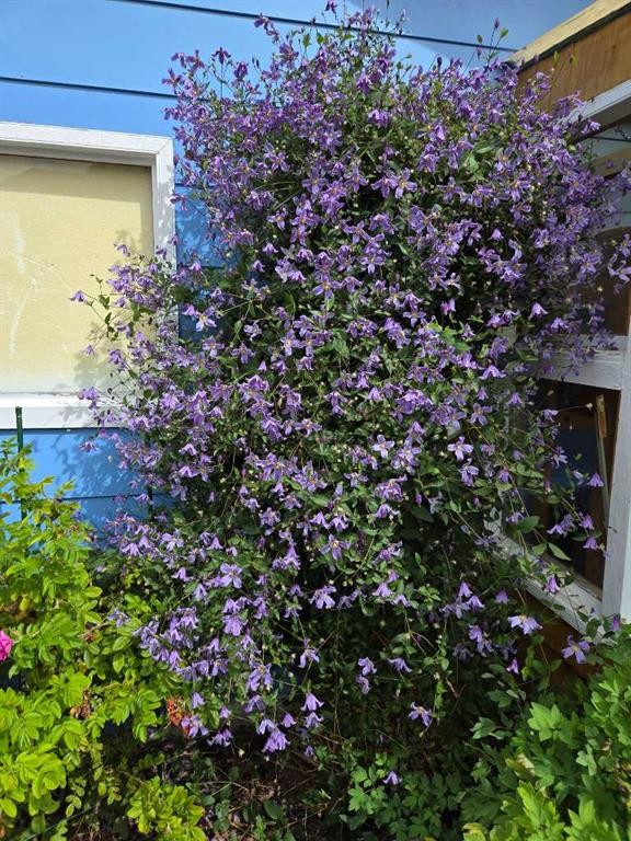 382 Ellis Crescent Se, High River, AB - Outdoor