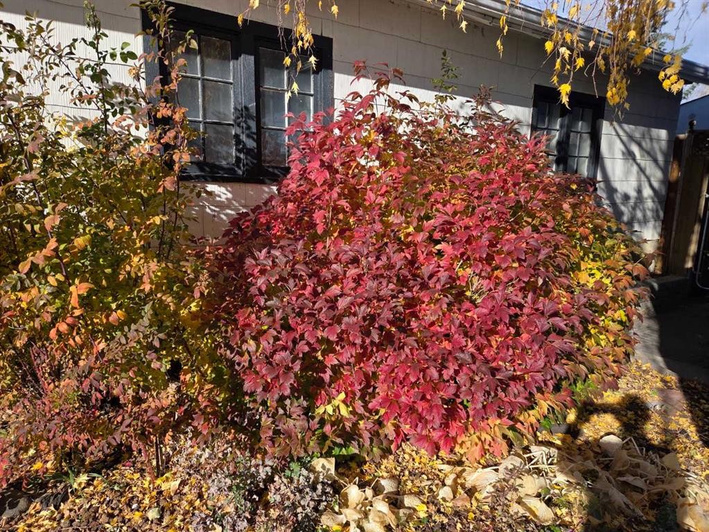 382 Ellis Crescent Se, High River, AB - Outdoor