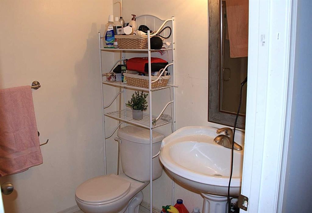 52 Fallingworth Court, Calgary, AB - Indoor Photo Showing Bathroom
