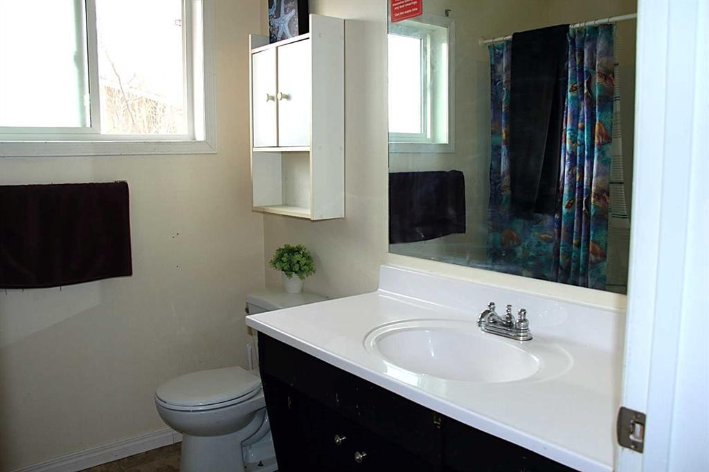 52 Fallingworth Court, Calgary, AB - Indoor Photo Showing Bathroom