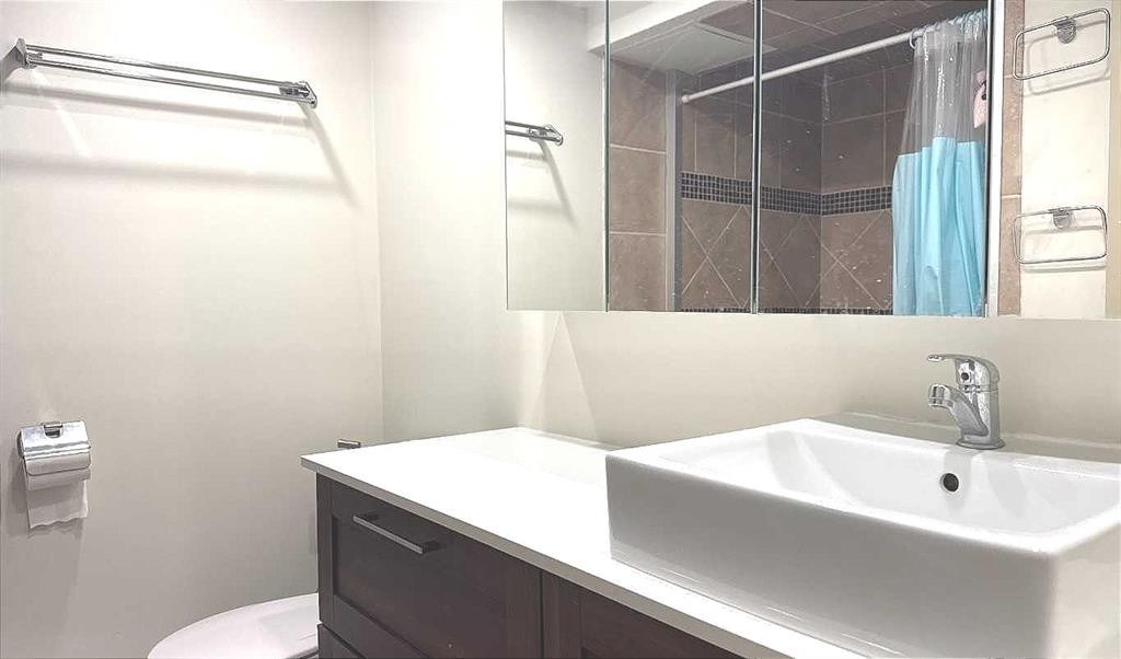 2715 41A Avenue Se, Calgary, AB - Indoor Photo Showing Bathroom