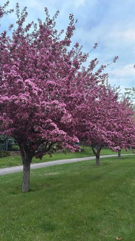 108 Hawkstone Close Nw, Calgary, AB - Outdoor With View