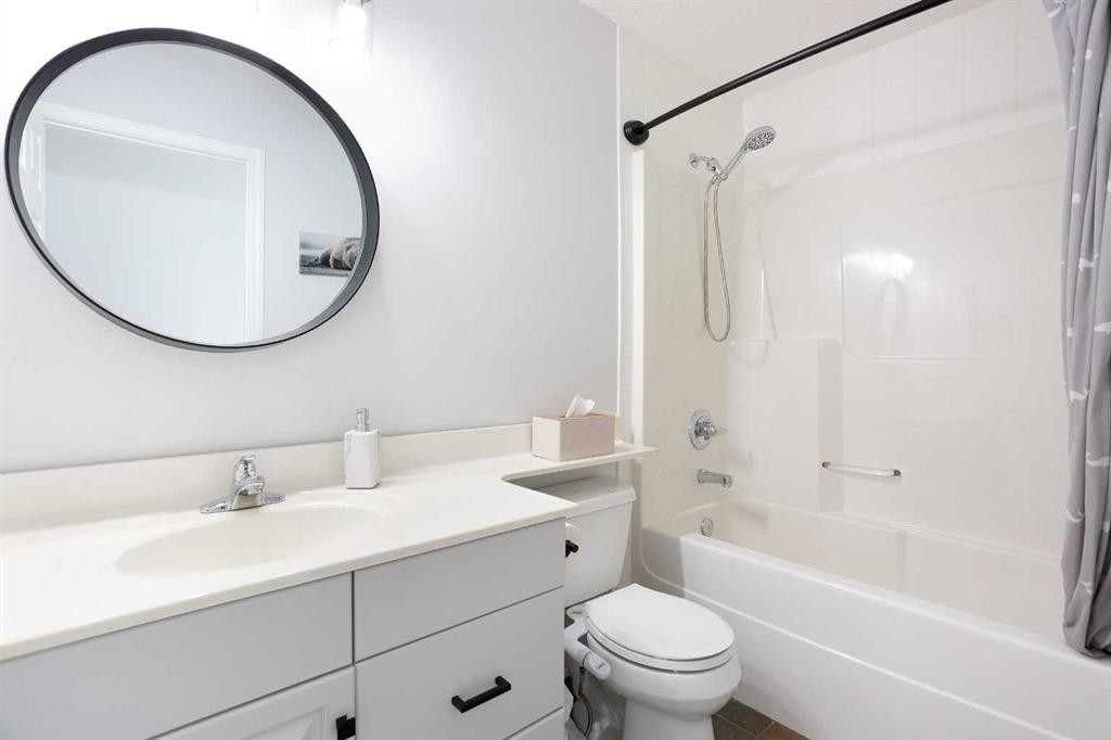 54 Springborough Point Sw, Calgary, AB - Indoor Photo Showing Bathroom