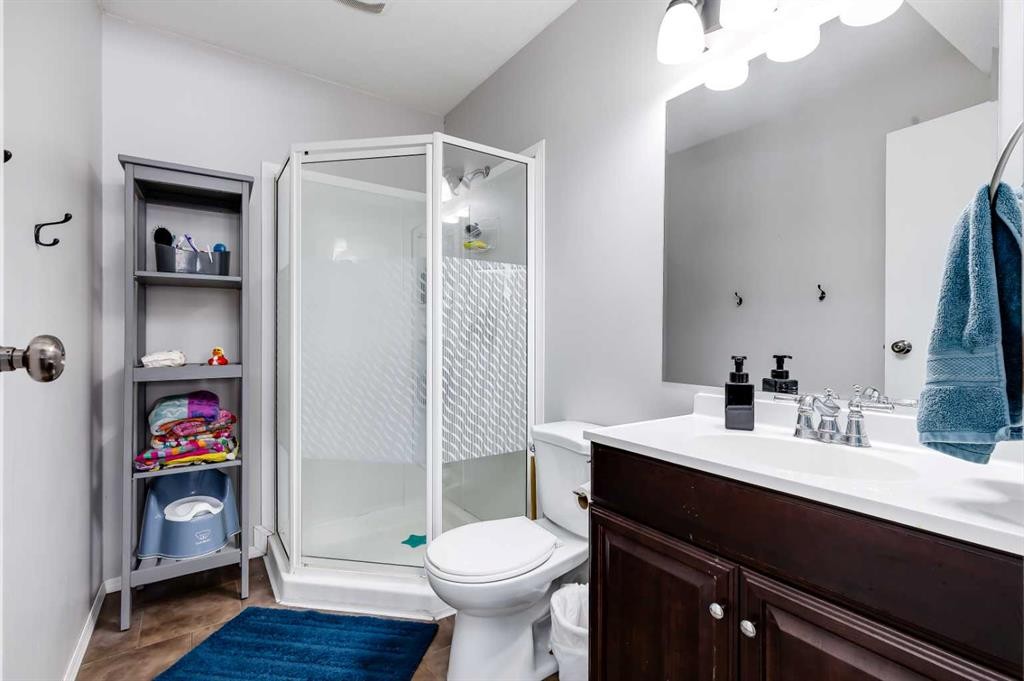 48 Hawthorn Way Ne, Olds, AB - Indoor Photo Showing Bathroom
