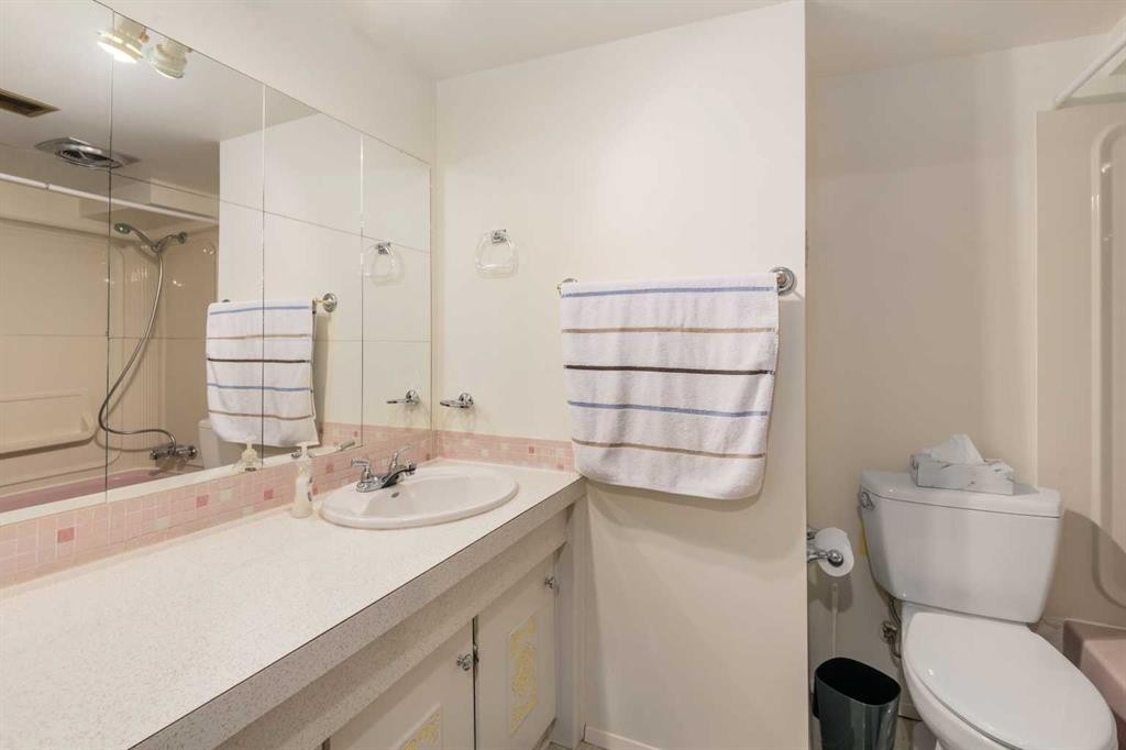 5039 Nemiskam Road Nw, Calgary, AB - Indoor Photo Showing Bathroom