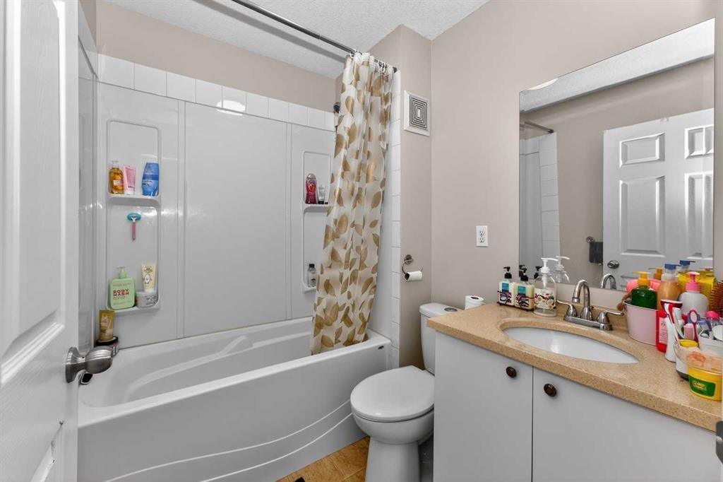 246 Saddlebrook Way Ne, Calgary, AB - Indoor Photo Showing Bathroom