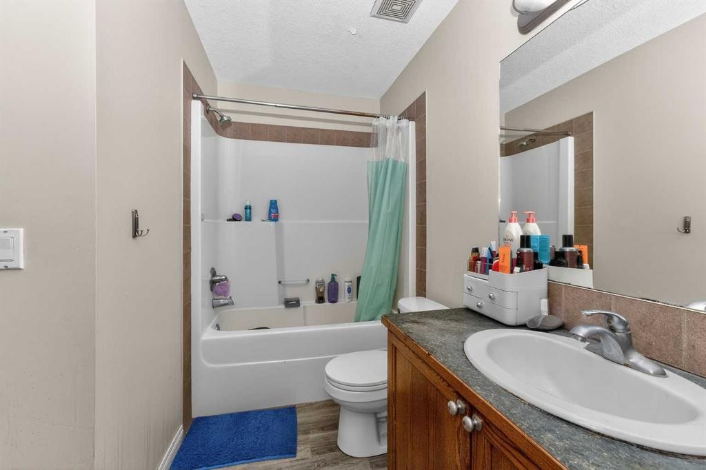 246 Saddlebrook Way Ne, Calgary, AB - Indoor Photo Showing Bathroom