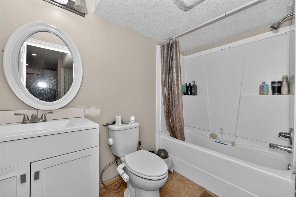 246 Saddlebrook Way Ne, Calgary, AB - Indoor Photo Showing Bathroom