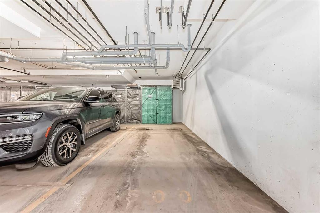 2416-200 Seton Circle Se, Calgary, AB - Indoor Photo Showing Garage