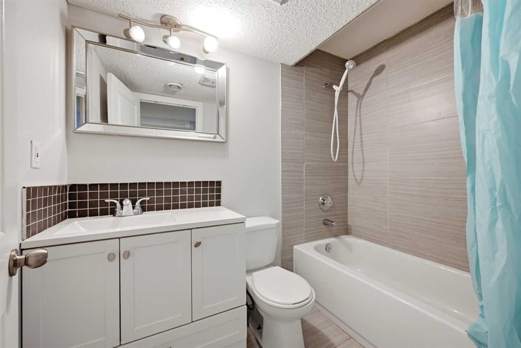 14 Skyview Point Road Ne, Calgary, AB - Indoor Photo Showing Bathroom