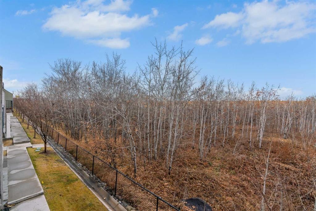 34 New Brighton Point Se, Calgary, AB - Outdoor With View