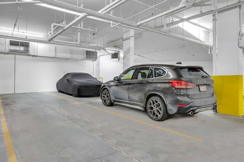 210-38 Quarry Gate Se, Calgary, AB - Indoor Photo Showing Garage
