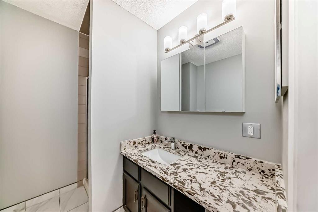 331 Bedford Place Ne, Calgary, AB - Indoor Photo Showing Bathroom