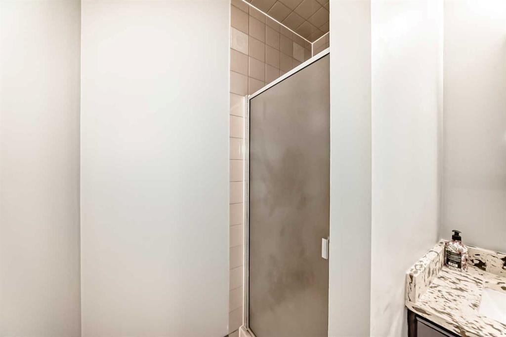 331 Bedford Place Ne, Calgary, AB - Indoor Photo Showing Bathroom