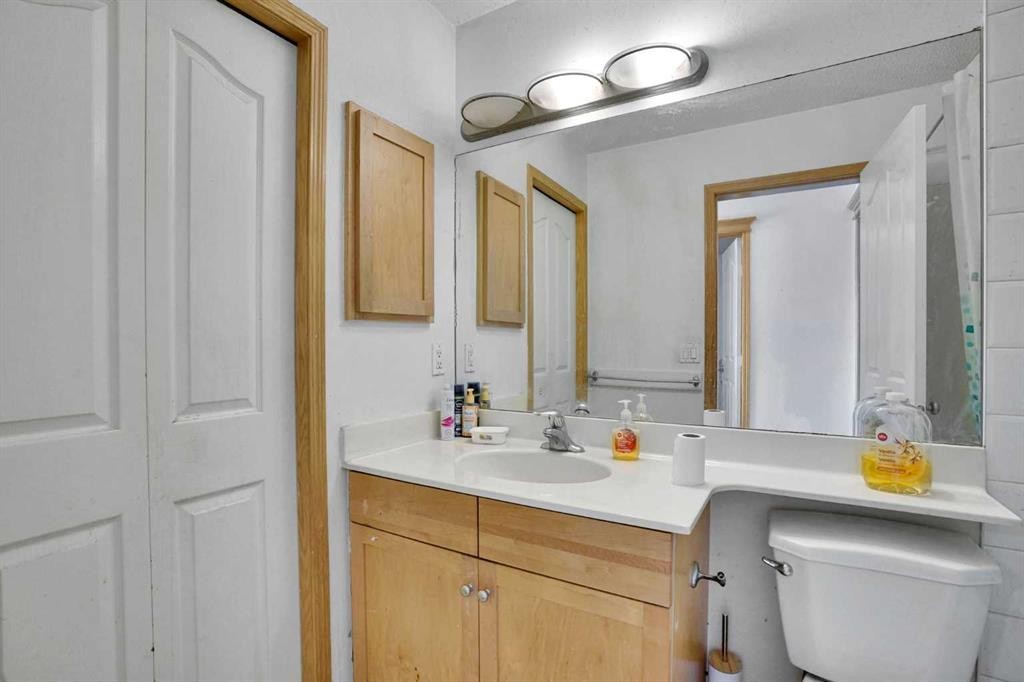 162 Taradale Drive Ne, Calgary, AB - Indoor Photo Showing Bathroom