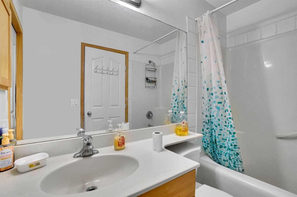 162 Taradale Drive Ne, Calgary, AB - Indoor Photo Showing Bathroom