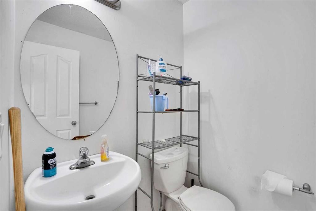 162 Taradale Drive Ne, Calgary, AB - Indoor Photo Showing Bathroom