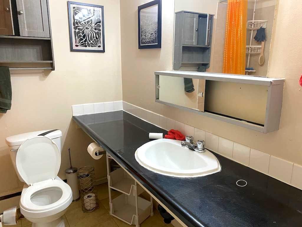 1917 5 Street Sw, Calgary, AB - Indoor Photo Showing Bathroom