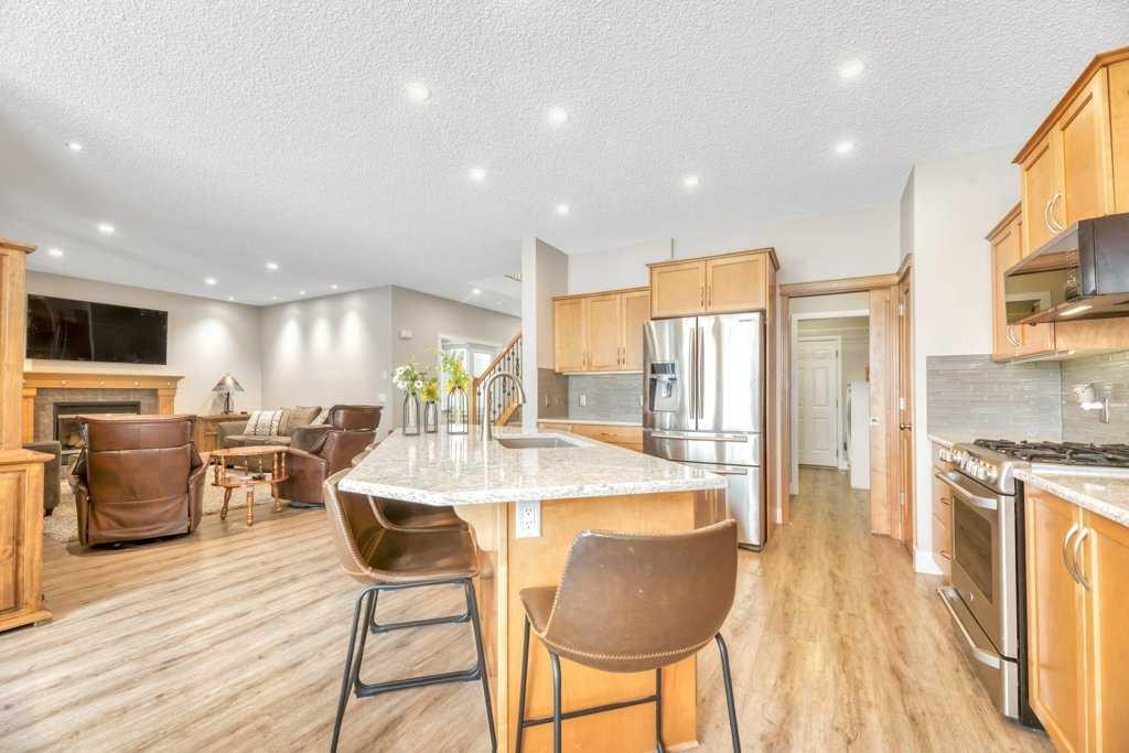 392 Rainbow Falls Way, Chestermere, AB - Indoor Photo Showing Kitchen With Upgraded Kitchen